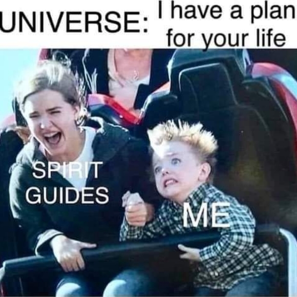 Meet your Posher, Sharona - Picture 4 of 13